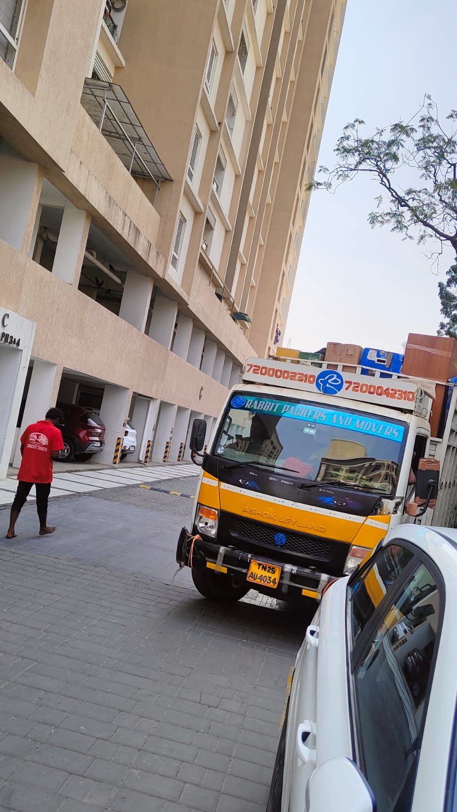Experienced Moving Team